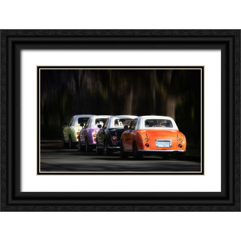 Colourful Spring Black Ornate Wood Framed Art Print with Double Matting by Gu, Cher