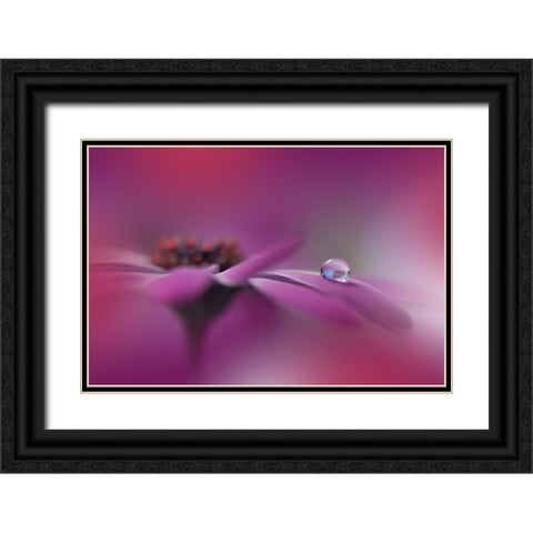 Celebration Of Life.. Black Ornate Wood Framed Art Print with Double Matting by Nan, Juliana