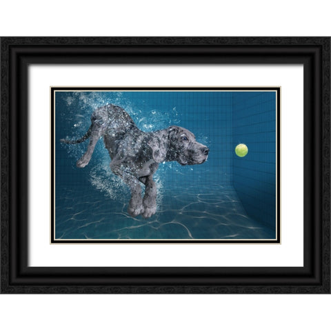 Splashdog Black Ornate Wood Framed Art Print with Double Matting by Egger, Marcel