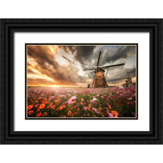 Perspective Image