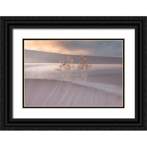 Untitled Black Ornate Wood Framed Art Print with Double Matting by Ali Amir, Abbas