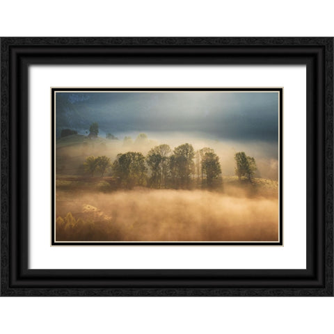 Sunrise veil Black Ornate Wood Framed Art Print with Double Matting by Ionut Coman, Alexandru