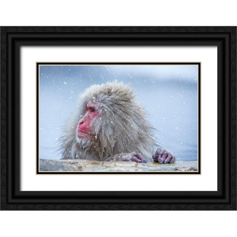 A Regular Day Black Ornate Wood Framed Art Print with Double Matting by Aktas, Ozan