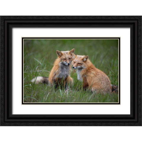 Watching Black Ornate Wood Framed Art Print with Double Matting by Cheng, Jie
