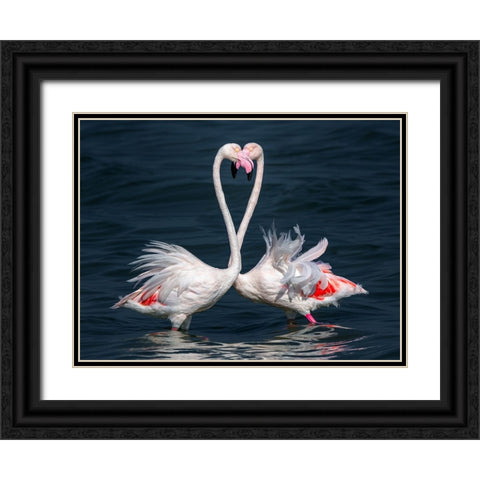 Flamingo Black Ornate Wood Framed Art Print with Double Matting by Elkahlawi, Ahmed