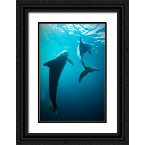 Shapes Of Water Black Ornate Wood Framed Art Print with Double Matting by Melesan, Serge