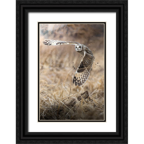 fly into the sky Black Ornate Wood Framed Art Print with Double Matting by Matsubara, Hiroki