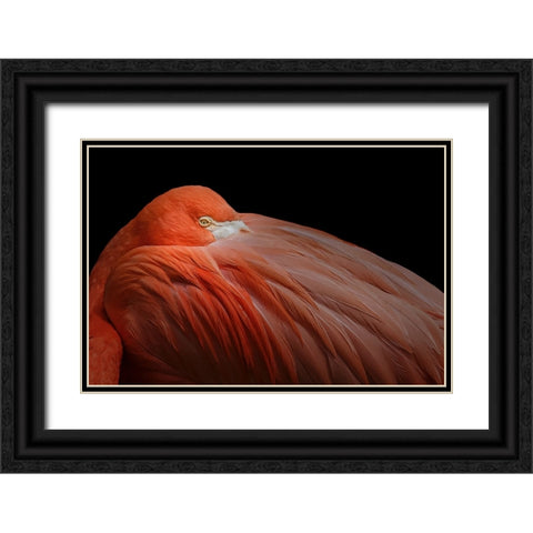 Untitled Black Ornate Wood Framed Art Print with Double Matting by Pandya, Hardik