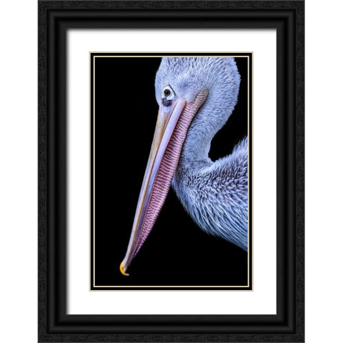 Untitled Black Ornate Wood Framed Art Print with Double Matting by Pandya, Hardik