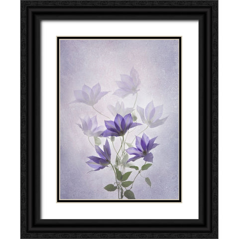 Purple Clematis Black Ornate Wood Framed Art Print with Double Matting by L., Binbin
