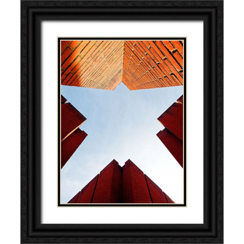 Its a Bird... Its a Plane... Its... Black Ornate Wood Framed Art Print with Double Matting by Surleac, Marius