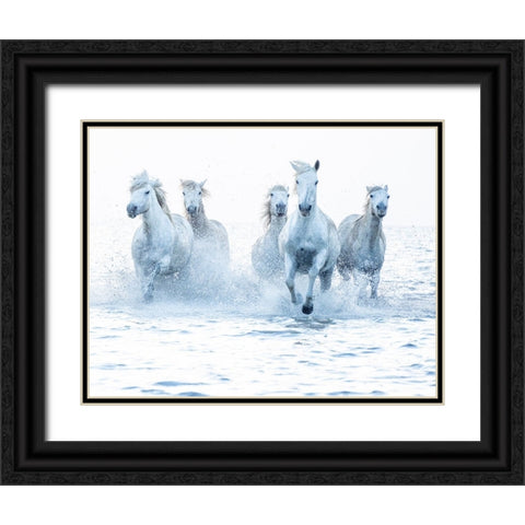 Horses on the Run Black Ornate Wood Framed Art Print with Double Matting by Zvelebil Phd, Marketa