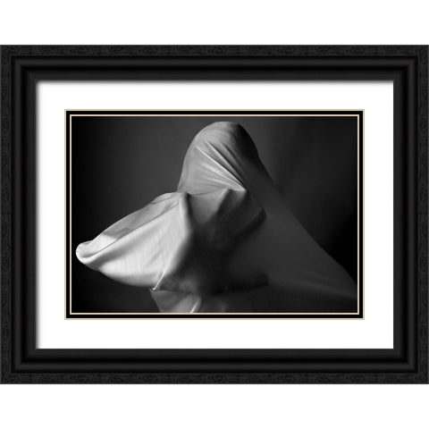 Fanatic Black Ornate Wood Framed Art Print with Double Matting by Arabzadeh, Abbas