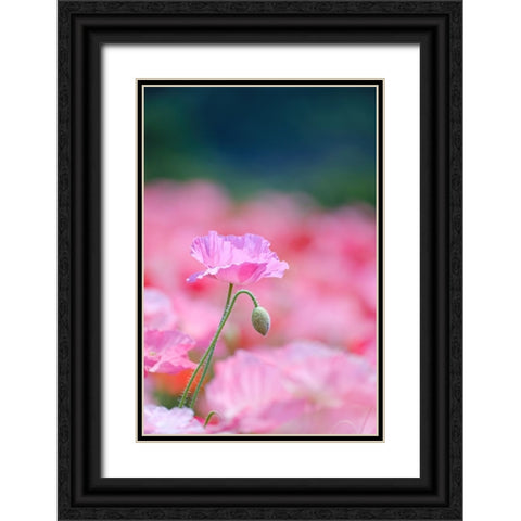 Untitled Black Ornate Wood Framed Art Print with Double Matting by Nakada, Chisho