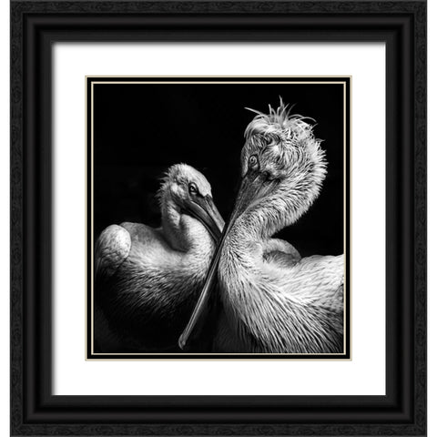 Crisscross Black Ornate Wood Framed Art Print with Double Matting by Singh, Anita