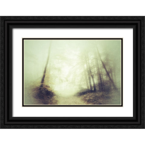 Remembering Black Ornate Wood Framed Art Print with Double Matting by Shumilova, Ludmila