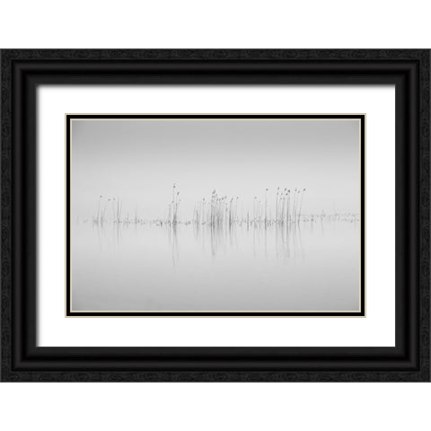 Simplicity Black Ornate Wood Framed Art Print with Double Matting by Pettersson, Benny