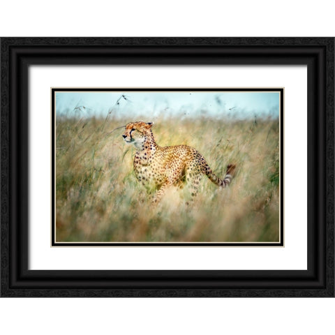 Secret Way Black Ornate Wood Framed Art Print with Double Matting by Roshkumar