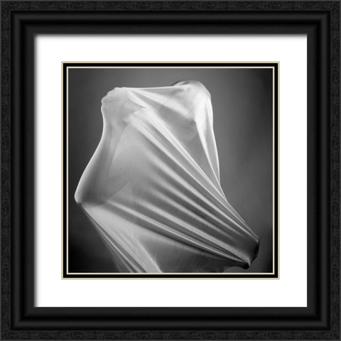 In the cocoon Black Ornate Wood Framed Art Print with Double Matting by Arabzadeh, Abbas