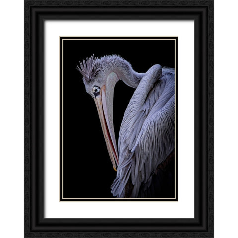 Untitled Black Ornate Wood Framed Art Print with Double Matting by Pandya, Hardik