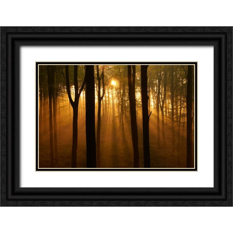 Muziekbos Black Ornate Wood Framed Art Print with Double Matting by Baekelandt, Luc