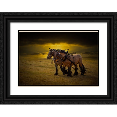 Horse III Black Ornate Wood Framed Art Print with Double Matting by Philippe, Laruelle