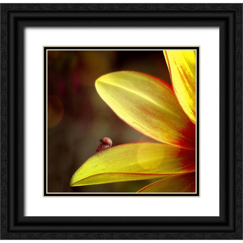 Untitled Black Ornate Wood Framed Art Print with Double Matting by Cseresnjes, Anna