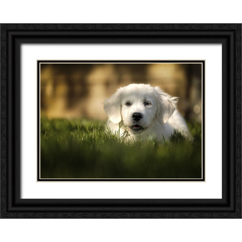 Jayda Black Ornate Wood Framed Art Print with Double Matting by Heggemann, Christiane