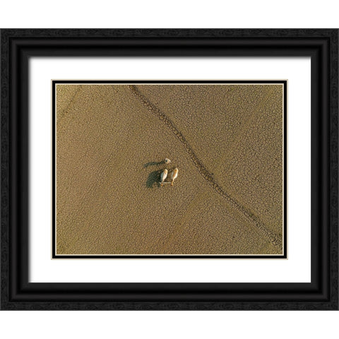 Dried Land Black Ornate Wood Framed Art Print with Double Matting by Khan Ronnie, Azim