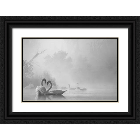 morning fog on swan lake Black Ornate Wood Framed Art Print with Double Matting by Liu, Dawei