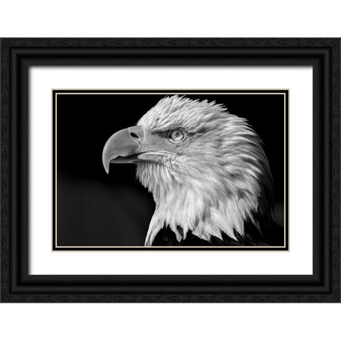 The eye Black Ornate Wood Framed Art Print with Double Matting by Bisaillon, Martin