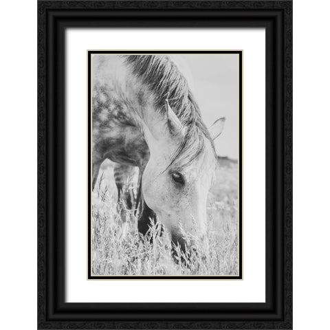 stallion Black Ornate Wood Framed Art Print with Double Matting by De Jong, Arendina