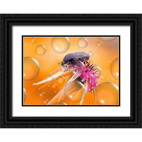 Heat Wave... Black Ornate Wood Framed Art Print with Double Matting by Dufour, Thierry