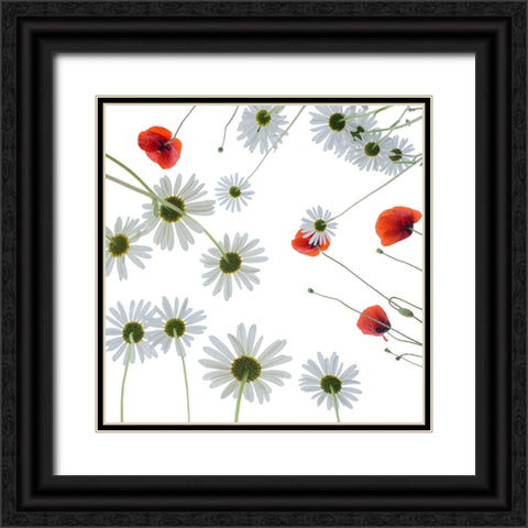 Meadow flowers Black Ornate Wood Framed Art Print with Double Matting by Ruckert, Stephan