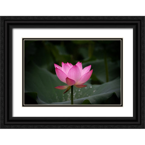 Untitled Black Ornate Wood Framed Art Print with Double Matting by Song, Yunarto