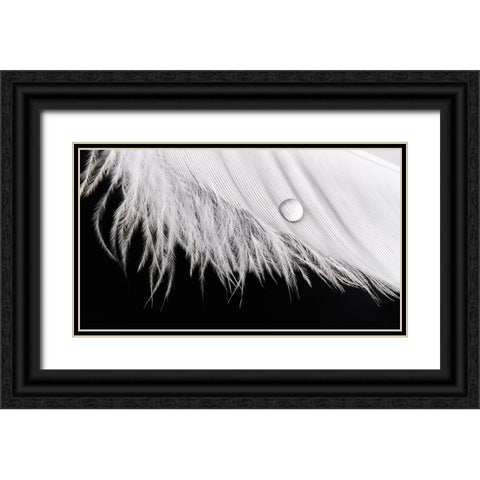 Slide Black Ornate Wood Framed Art Print with Double Matting by Sokac, Drazen