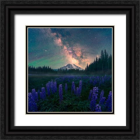 Night At The Adams Black Ornate Wood Framed Art Print with Double Matting by Bandyopadhyay, Atanu