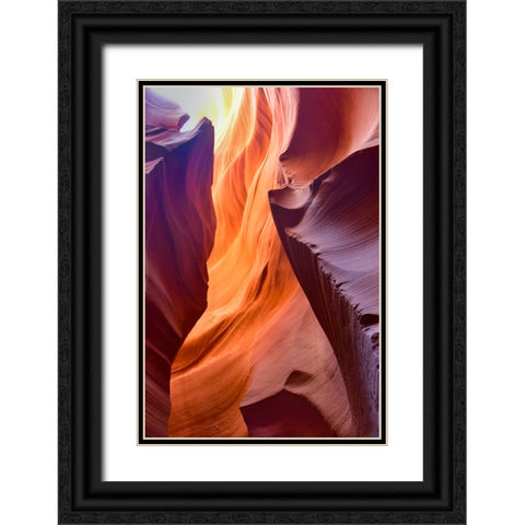 Spiraling Black Ornate Wood Framed Art Print with Double Matting by Li, Sophia