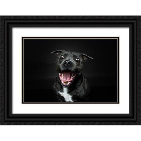 Incoming Black Ornate Wood Framed Art Print with Double Matting by Irene Sattrup, Dorte