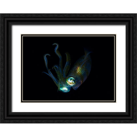 Night Elf (Squid) Black Ornate Wood Framed Art Print with Double Matting by Y Lin, Ryan