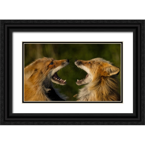 Singing Black Ornate Wood Framed Art Print with Double Matting by W, Joanna