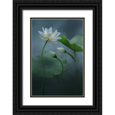 Lotus Black Ornate Wood Framed Art Print with Double Matting by Ye, Ningyun