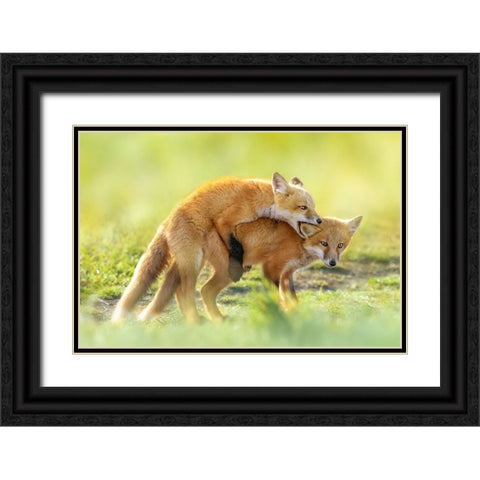 AnÂ‰AeÂˆÂ Black Ornate Wood Framed Art Print with Double Matting by Fengying Long