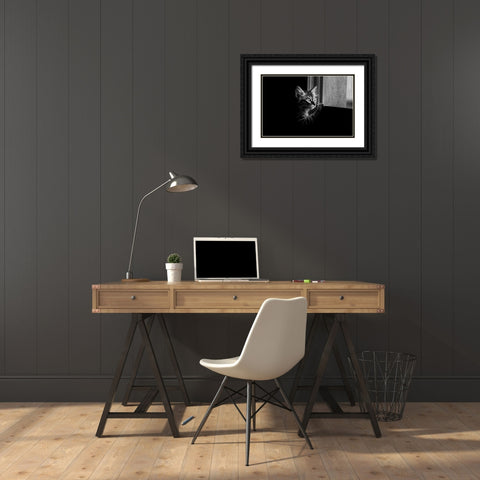 Leo Black Ornate Wood Framed Art Print with Double Matting by Alsharif, Yahia