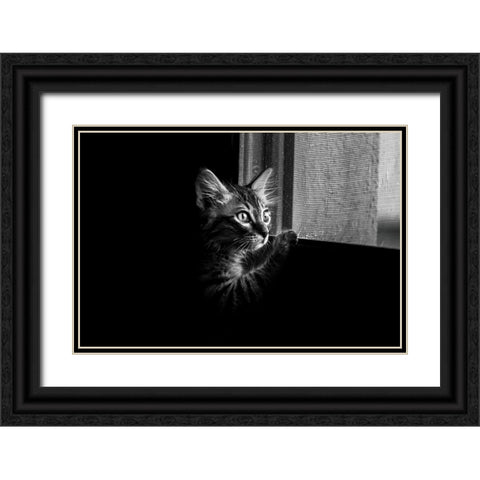 Leo Black Ornate Wood Framed Art Print with Double Matting by Alsharif, Yahia