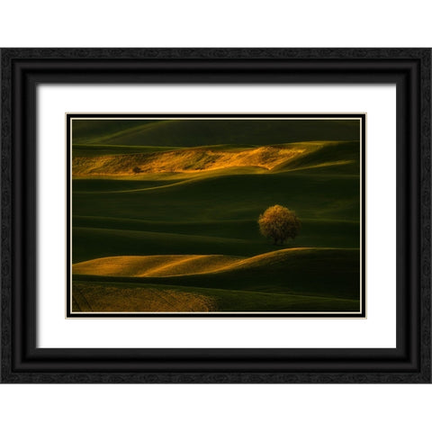 Bright Lonely Tree Black Ornate Wood Framed Art Print with Double Matting by Jacobs, Lydia