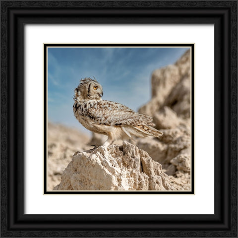 Pharaoh eagle owl Black Ornate Wood Framed Art Print with Double Matting by Elkahlawi, Ahmed