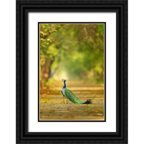 Wild is my favourite Color Black Ornate Wood Framed Art Print with Double Matting by Deep, Ujjawal