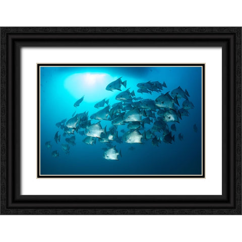 School Time Black Ornate Wood Framed Art Print with Double Matting by Y Lin, Ryan