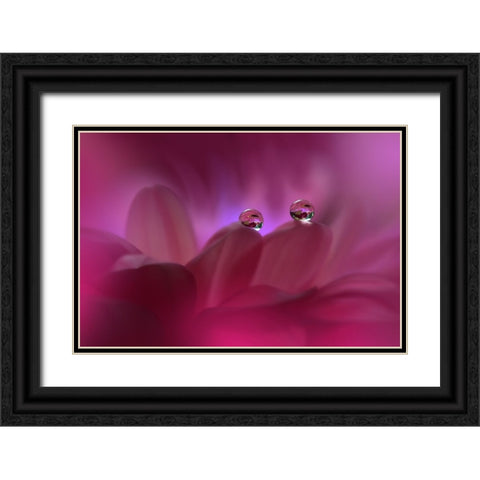Immortal Love...II Black Ornate Wood Framed Art Print with Double Matting by Nan, Juliana
